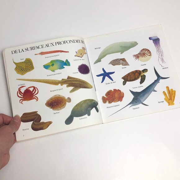 Lot livres vintage pour enfants et marionnette vintage 🦀 French Childrens Books - Picture 3 of 13